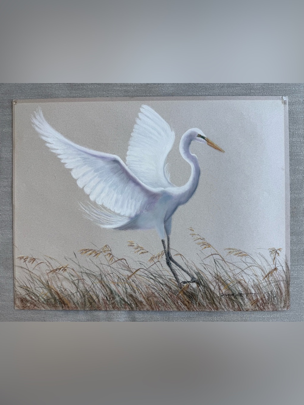 Dolores Witt White Great Egret Pastel Painting on Paper, Florida Art